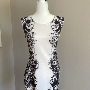 NWT Windsor Black and White Floral Dress Size L
